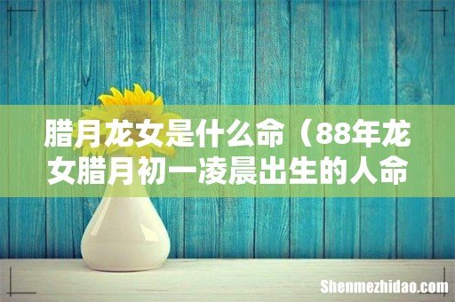 88年龙女腊月初一凌晨出生的人命运 腊月龙女是什么命