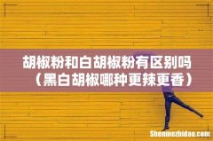 黑白胡椒哪种更辣更香 胡椒粉和白胡椒粉有区别吗