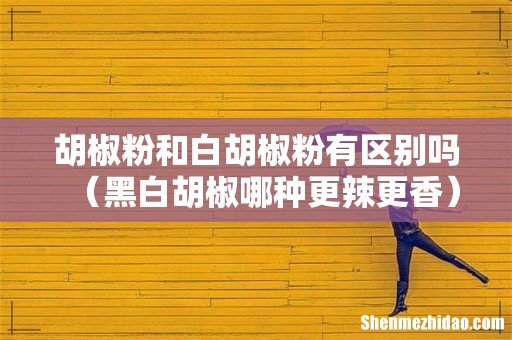 黑白胡椒哪种更辣更香 胡椒粉和白胡椒粉有区别吗