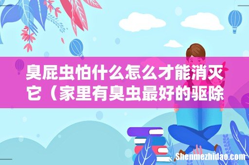 家里有臭虫最好的驱除办法 臭屁虫怕什么怎么才能消灭它