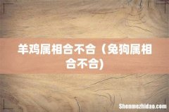 羊鸡属相合不合（兔狗属相合不合)
