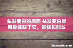 头发变白的原因 头发变白是因身体缺了它，难怪长那么多！