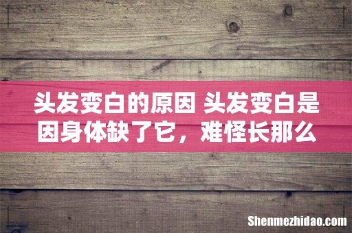 头发变白的原因 头发变白是因身体缺了它,难怪长那么多!