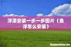 鱼浮怎么安装 浮漂安装一步一步图片