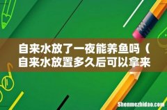 自来水放置多久后可以拿来养鱼 自来水放了一夜能养鱼吗