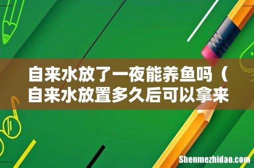 自来水放置多久后可以拿来养鱼 自来水放了一夜能养鱼吗