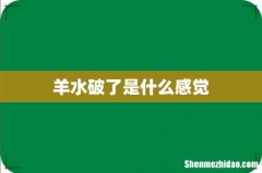 羊水破了是什么感觉