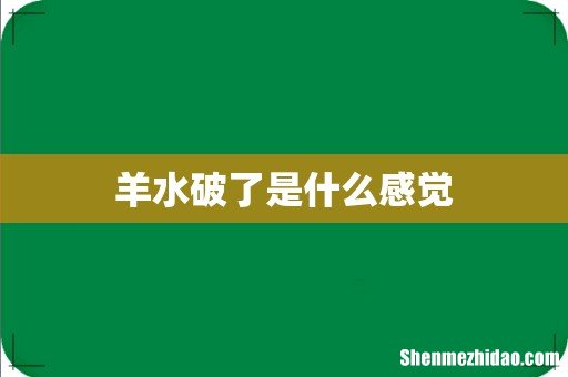 羊水破了是什么感觉