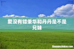 爱没有错秉华和丹丹是不是兄妹