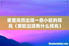 家蛇出现有什么预兆 家里突然出现一条小蛇的预兆