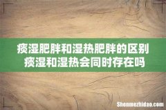 痰湿肥胖和湿热肥胖的区别 痰湿和湿热会同时存在吗