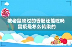 被老鼠咬过的香肠还能吃吗 鼠疫是怎么传染的
