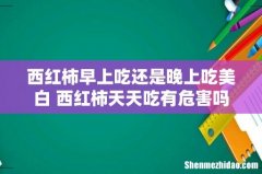 西红柿早上吃还是晚上吃美白 西红柿天天吃有危害吗