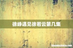 徐峥遇见徐若云第几集