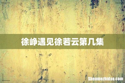 徐峥遇见徐若云第几集