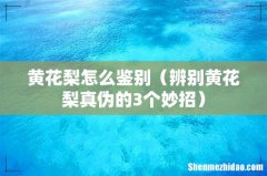 辨别黄花梨真伪的3个妙招 黄花梨怎么鉴别