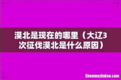 大辽3次征伐漠北是什么原因 漠北是现在的哪里