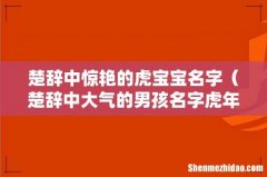 楚辞中大气的男孩名字虎年 楚辞中惊艳的虎宝宝名字