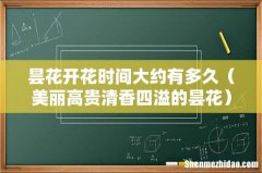 美丽高贵清香四溢的昙花 昙花开花时间大约有多久