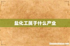 盐化工属于什么产业