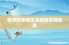 岳母的幸福生活赵阳后妈结局