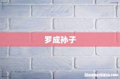 罗成孙子