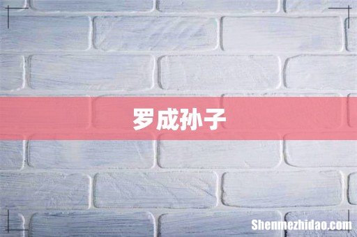 罗成孙子