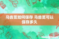 马齿苋如何保存 马齿苋可以保存多久