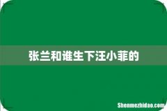 张兰和谁生下汪小菲的
