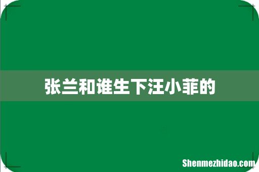 张兰和谁生下汪小菲的