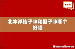 北冰洋桔子味和橙子味哪个好喝