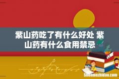 紫山药吃了有什么好处 紫山药有什么食用禁忌