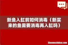 新买来的鱼需要消毒再入缸吗 新鱼入缸前如何消毒