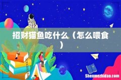 怎么喂食 招财猫鱼吃什么