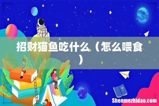 怎么喂食 招财猫鱼吃什么