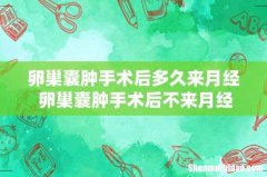 卵巢囊肿手术后多久来月经 卵巢囊肿手术后不来月经怎么办
