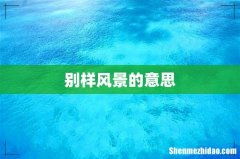 别样风景的意思