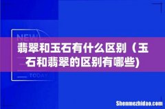 翡翠和玉石有什么区别（玉石和翡翠的区别有哪些)