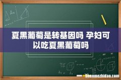 夏黑葡萄是转基因吗 孕妇可以吃夏黑葡萄吗