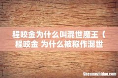 程咬金 为什么被称作混世魔王 程咬金为什么叫混世魔王