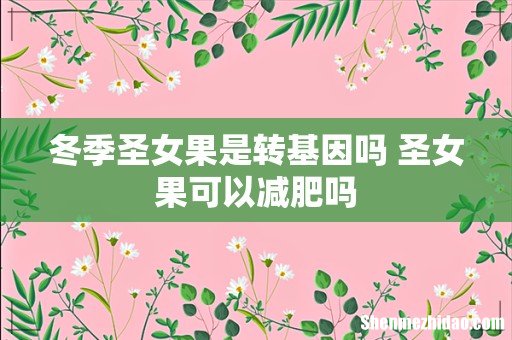冬季圣女果是转基因吗 圣女果可以减肥吗