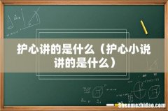 护心小说讲的是什么 护心讲的是什么
