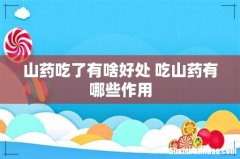 山药吃了有啥好处 吃山药有哪些作用