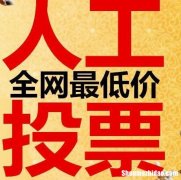 微信人工投票软件免费刷票价格 微信人工投票10元1000票在线