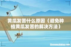 避免种植黄瓜发苦的解决方法 黄瓜发苦什么原因