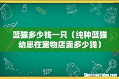 纯种蓝猫幼崽在宠物店卖多少钱 蓝猫多少钱一只