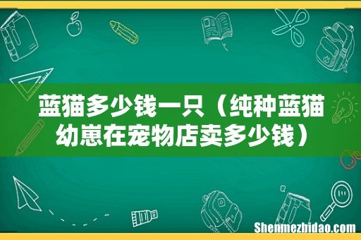 纯种蓝猫幼崽在宠物店卖多少钱 蓝猫多少钱一只