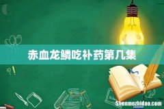 赤血龙鳞吃补药第几集