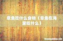 章鱼在海里吃什么 章鱼吃什么食物
