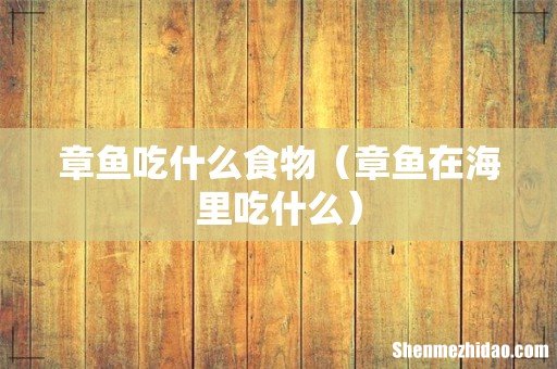 章鱼在海里吃什么 章鱼吃什么食物